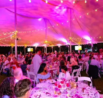 The 36th Annual SOFO Summer Gala (2025) (Photo Credit: Society Allure / Rob Rich)