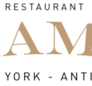 mamo-logo-crop-5-300x121